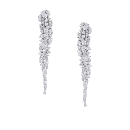 Magnolia Golden Ring