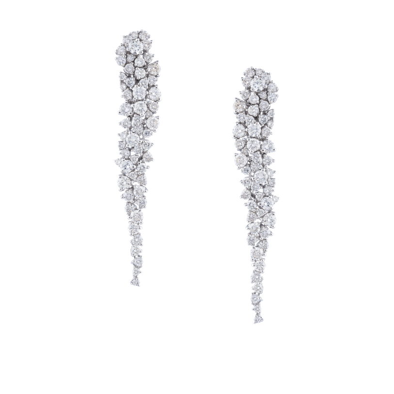 Magnolia Golden Ring